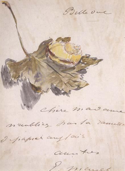 Edouard Manet Lettre avec un escargot sur une feuille (mk40) France oil painting art